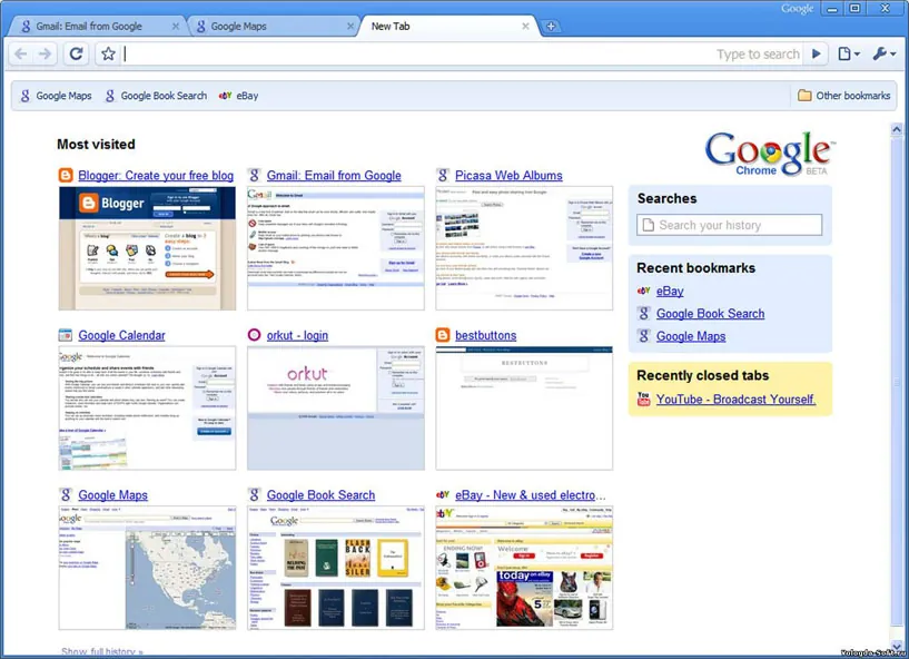 Скриншот Google Chrome 1